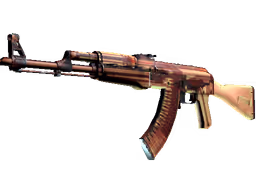 AK-47 | X-Ray (Well-Worn)